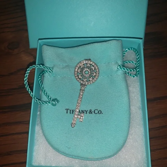 Tiffany & Co LARGE Diamond Platinum Petals Key Pendant Necklace EUC - Picture 8 of 16